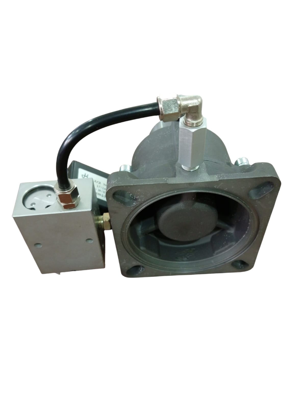 EMİŞ GRUBU KOMPLE